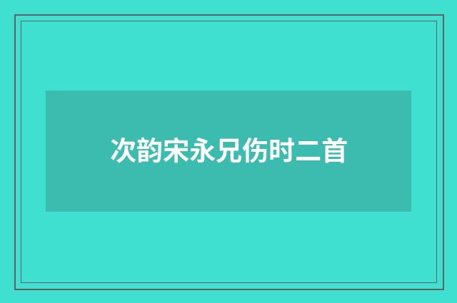 次韵宋永兄伤时二首