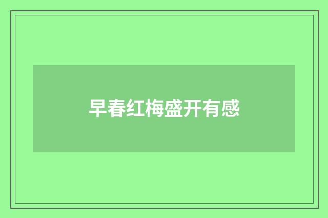 早春红梅盛开有感