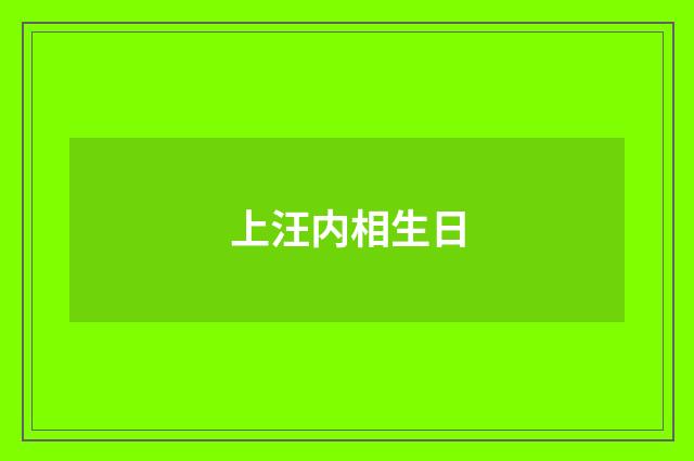 上汪内相生日