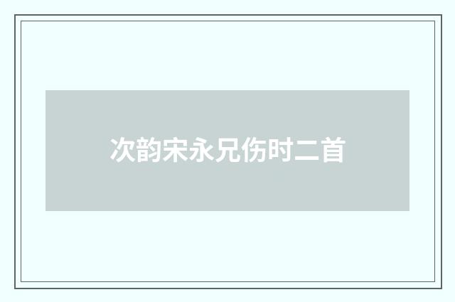 次韵宋永兄伤时二首