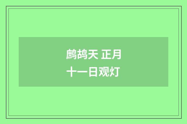 鹧鸪天 正月十一日观灯