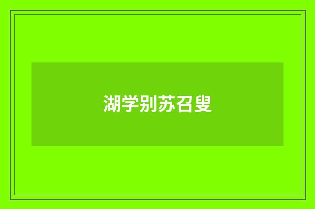 湖学别苏召叟