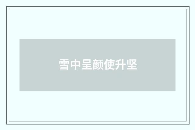 雪中呈颜使升坚