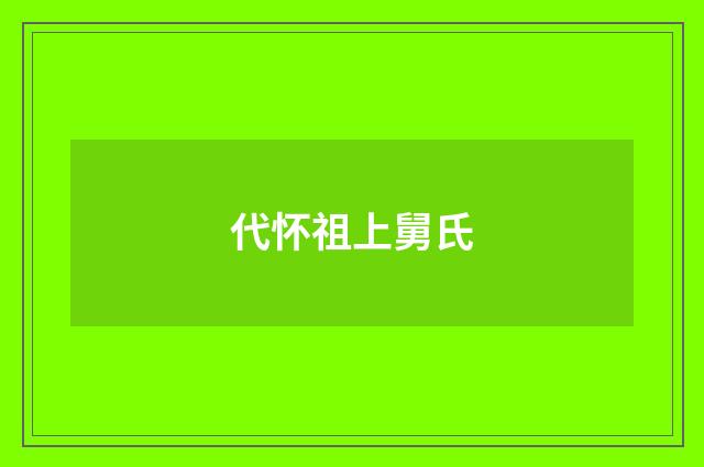 代怀祖上舅氏