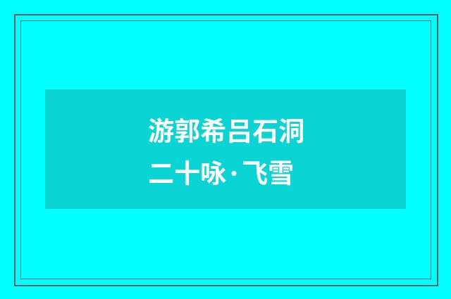游郭希吕石洞二十咏·飞雪
