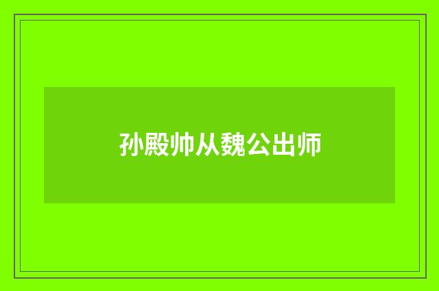 孙殿帅从魏公出师