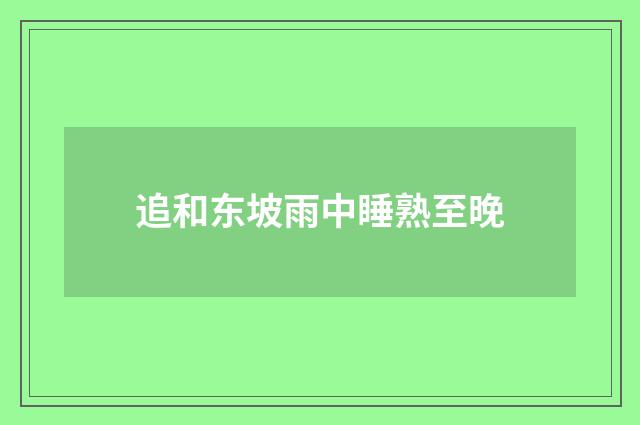 追和东坡雨中睡熟至晚