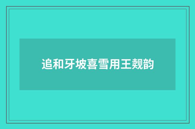 追和牙坡喜雪用王觌韵