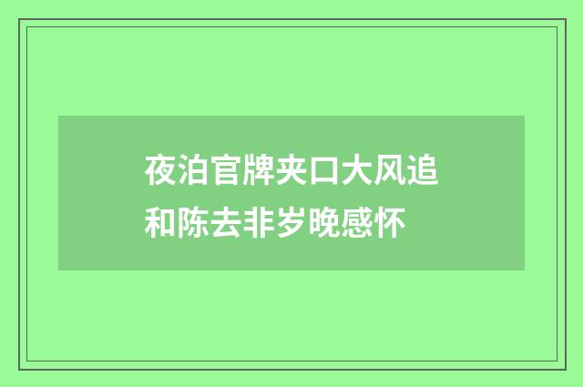 夜泊官牌夹口大风追和陈去非岁晚感怀