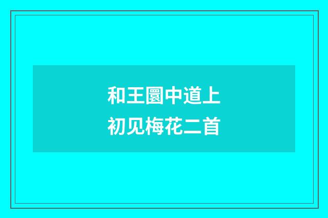 和王圜中道上初见梅花二首