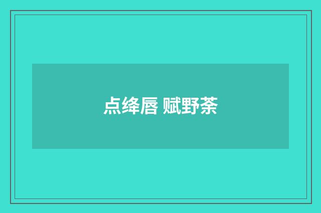 点绛唇 赋野荼