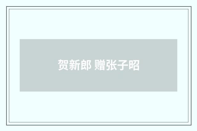 贺新郎 赠张子昭