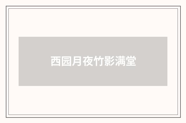 西园月夜竹影满堂