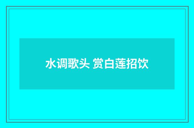 水调歌头 赏白莲招饮
