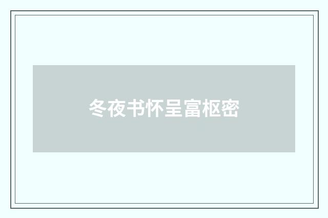 冬夜书怀呈富枢密