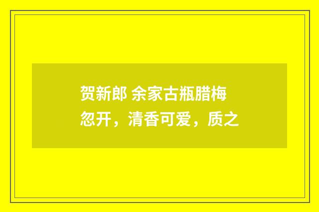 贺新郎 余家古瓶腊梅忽开,清香可爱,质之