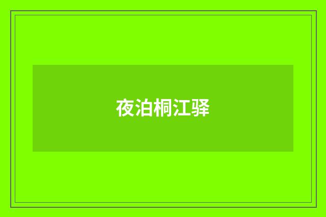 夜泊桐江驿