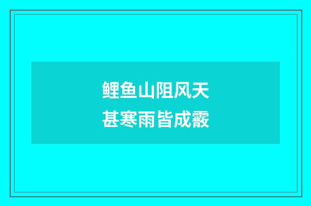 鲤鱼山阻风天甚寒雨皆成霰