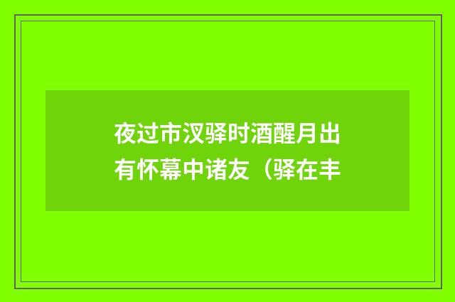 夜过市汊驿时酒醒月出有怀幕中诸友（驿在丰