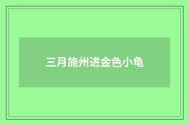 三月施州进金色小龟