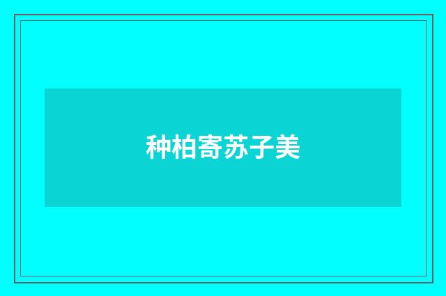 种柏寄苏子美
