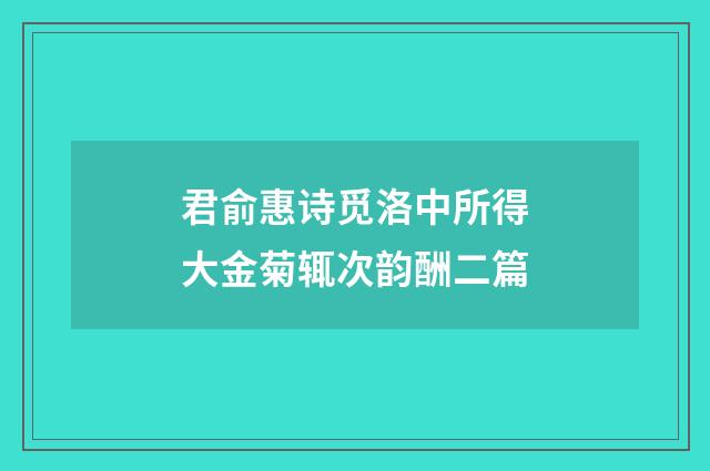 君俞惠诗觅洛中所得大金菊辄次韵酬二篇