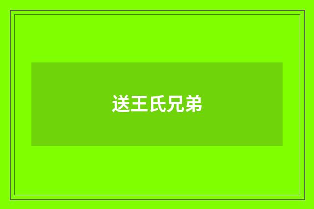 送王氏兄弟