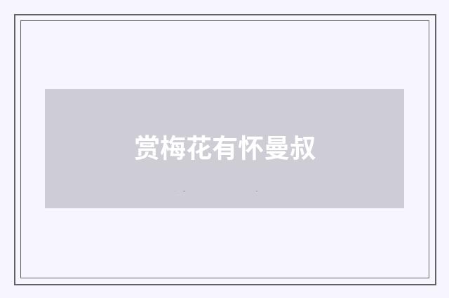 赏梅花有怀曼叔