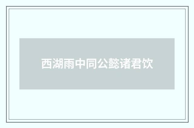 西湖雨中同公懿诸君饮