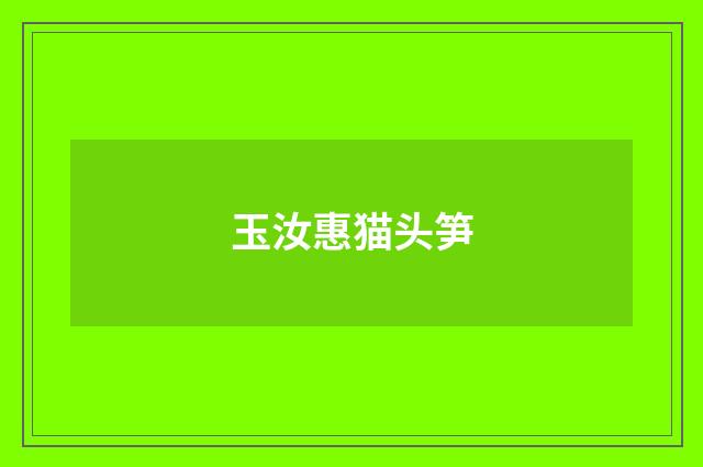 玉汝惠猫头笋