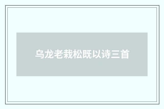乌龙老栽松既以诗三首