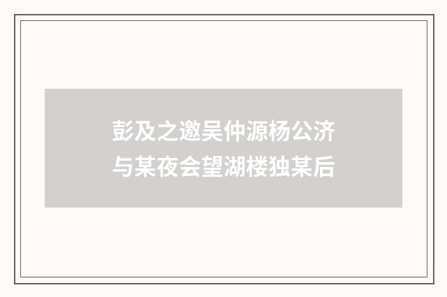 彭及之邀吴仲源杨公济与某夜会望湖楼独某后