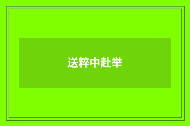 送粹中赴举