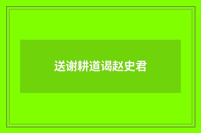 送谢耕道谒赵史君