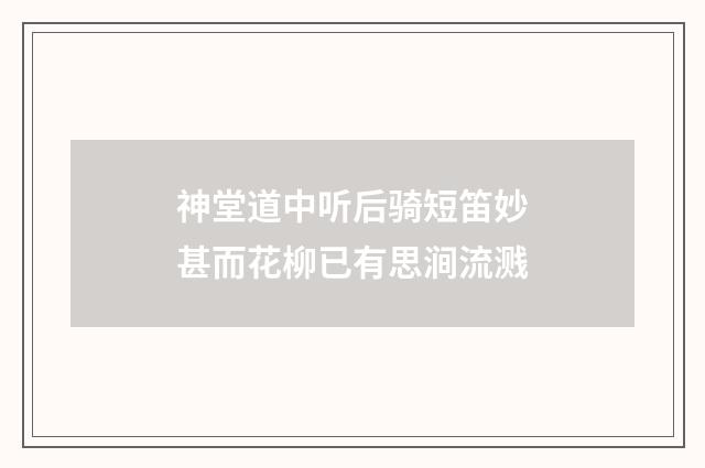 神堂道中听后骑短笛妙甚而花柳已有思涧流溅
