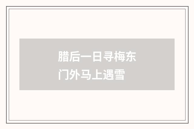 腊后一日寻梅东门外马上遇雪