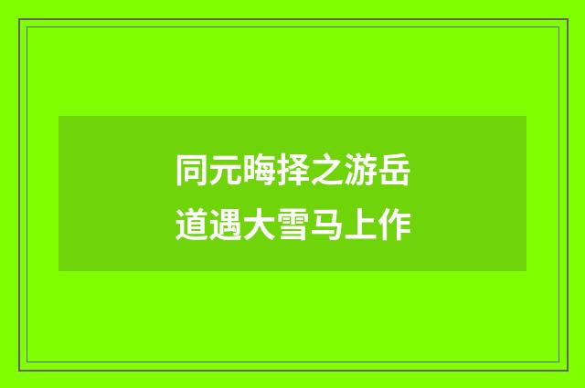 同元晦择之游岳道遇大雪马上作