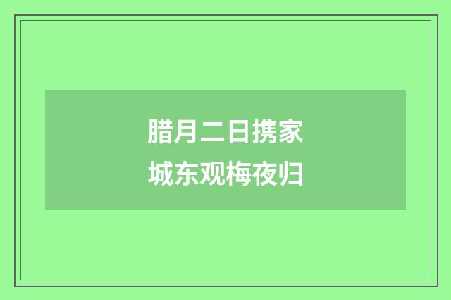腊月二日携家城东观梅夜归