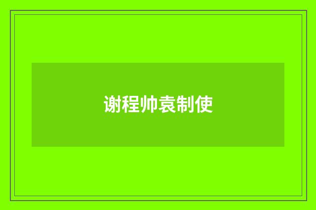 谢程帅袁制使