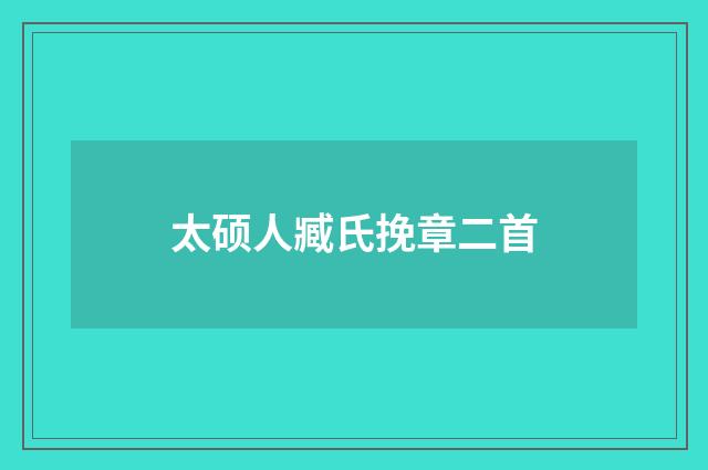 太硕人臧氏挽章二首