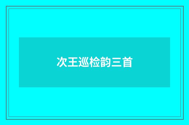 次王巡检韵三首