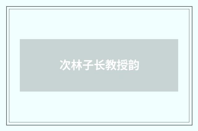 次林子长教授韵