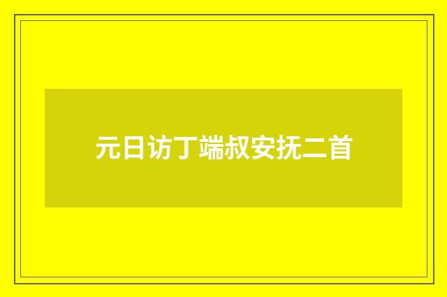 元日访丁端叔安抚二首