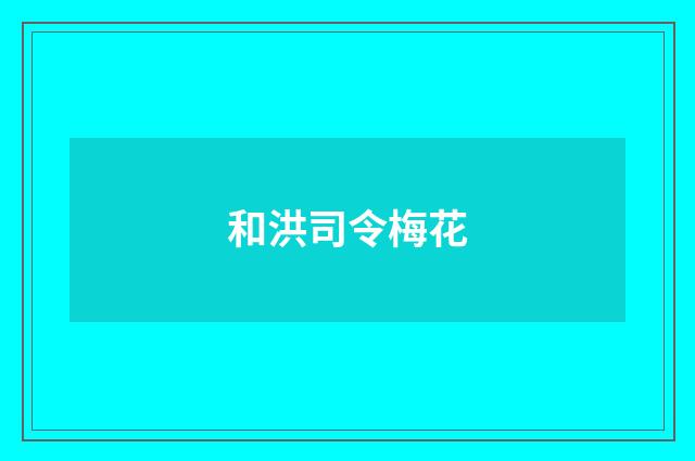 和洪司令梅花