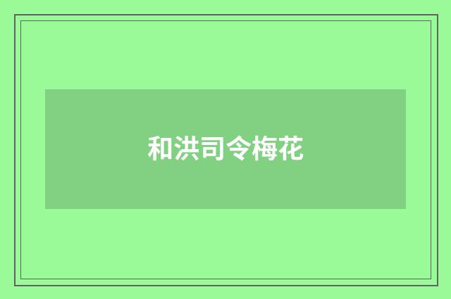 和洪司令梅花