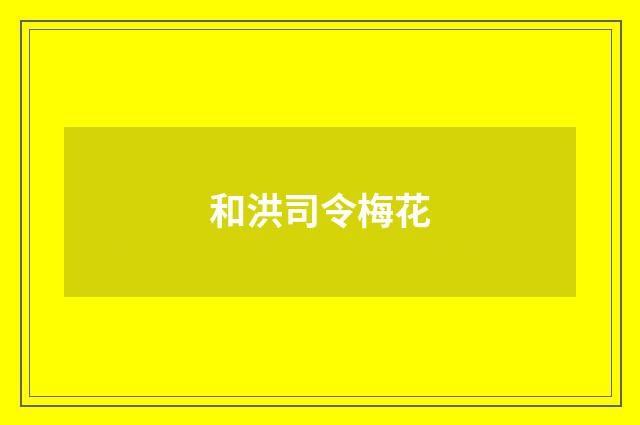 和洪司令梅花