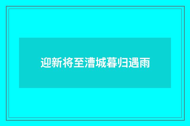 迎新将至漕城暮归遇雨