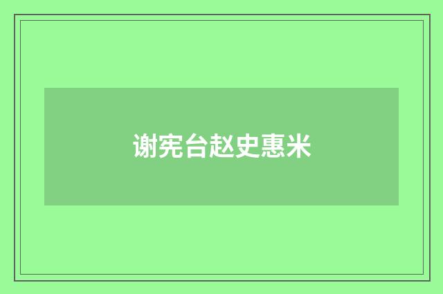 谢宪台赵史惠米