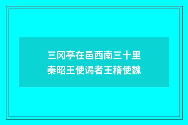 三冈亭在邑西南三十里秦昭王使谒者王稽使魏