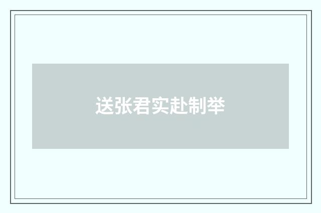 送张君实赴制举